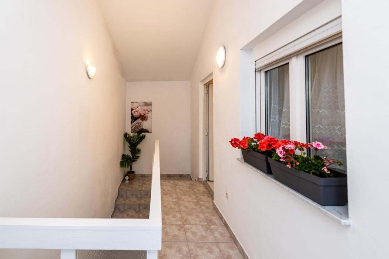 Magnolia Apartmani 보디체 외부 사진